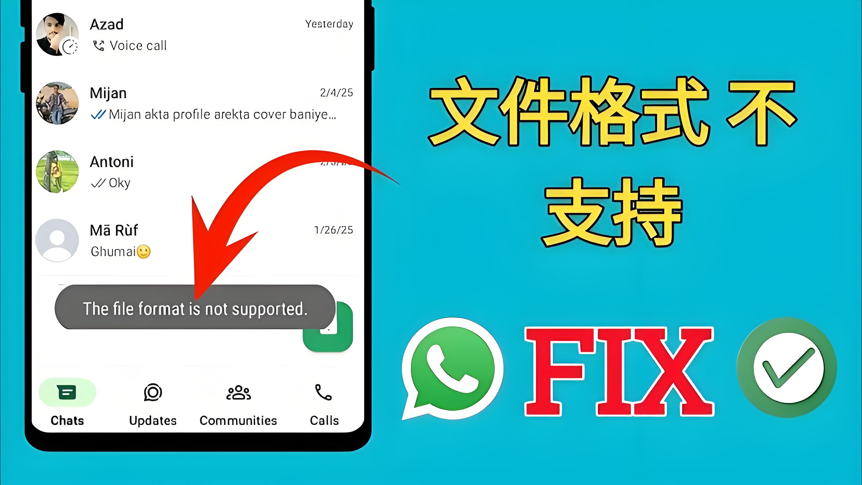 WhatsApp支援哪些傳送檔案格式？