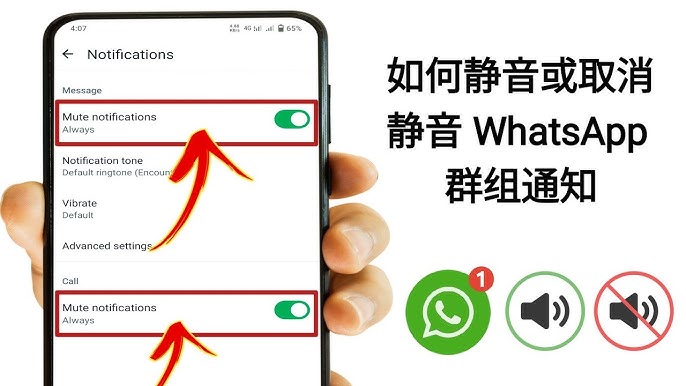 WhatsApp通知怎麼設定？完整教程