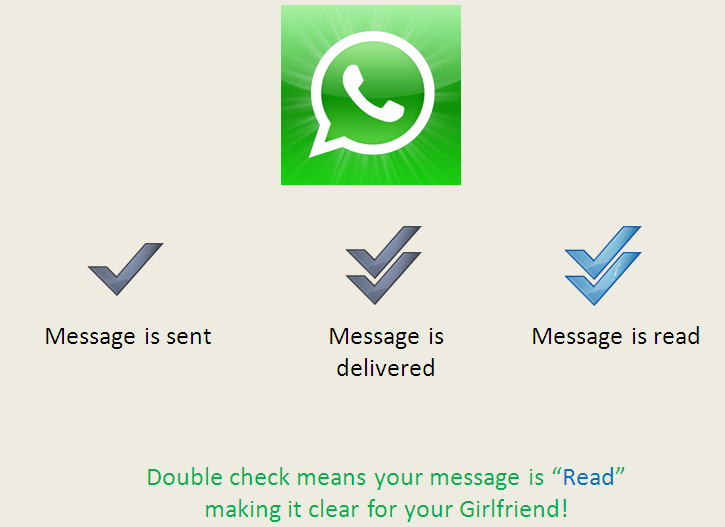 新手必看：WhatsApp單鉤與已讀狀態