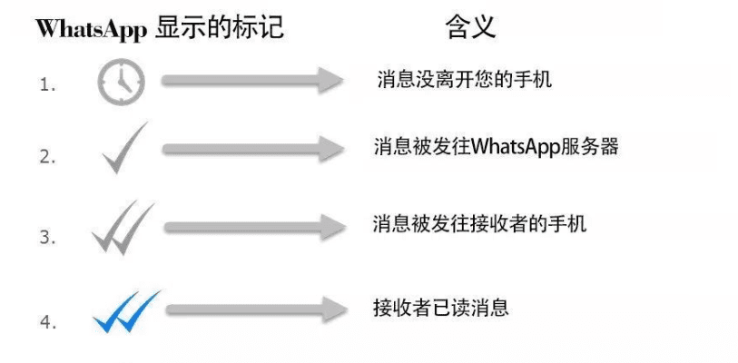 新手必看：WhatsApp單鉤與已讀狀態