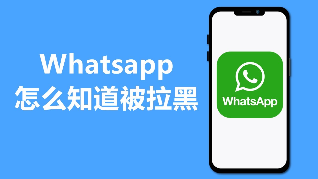 新手必看：WhatsApp被拉黑的表現