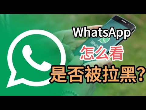 新手必看：WhatsApp被拉黑的表現